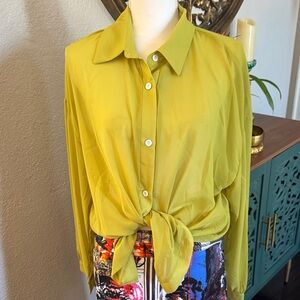 SHEIN Green Button-Down sheer Shirt